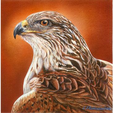 Ferrugenous Hawk Portrait - Ferrugenous Hawk by Linda Parkinson